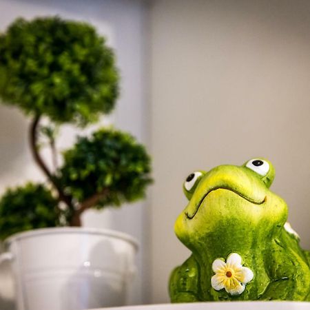 Exceptionally Located Studio Apartment 雅典 外观 照片